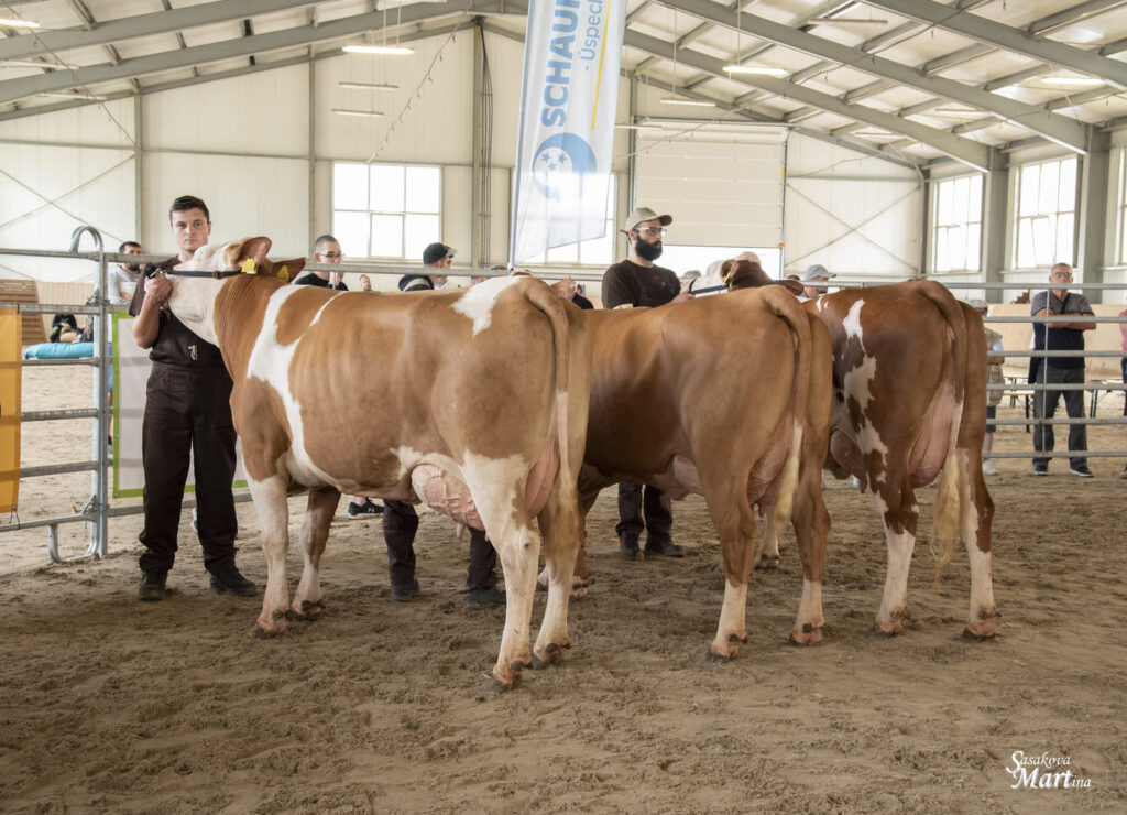 SIMMENTAL - simmental.sk Mliekova uzitkovost s miernym rastom